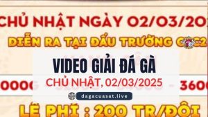 giai ga cpc2 2-3-2025